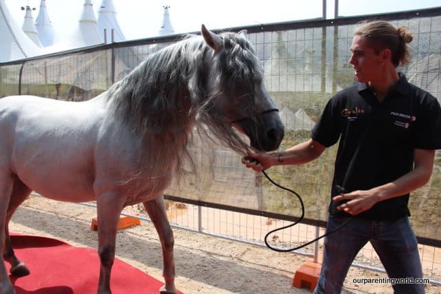 Cavalia’s 50 Majestic Horses are here in Singapore now!