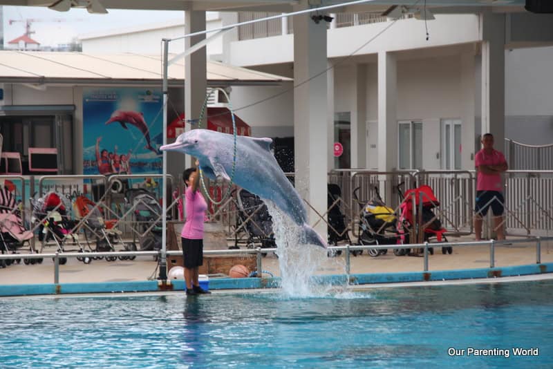 Underwater World Singapore School Holidays Special (Admission Tickets and Sumptuous Buffet Giveaway!)
