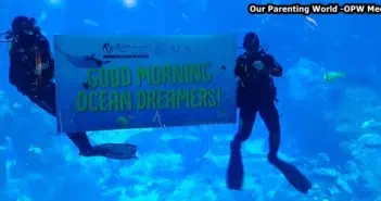 Ocean Dreams Sleepover Party at S.E.A. Aquarium