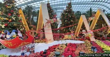 Poinsettia Wishes at Gardens by the Bay