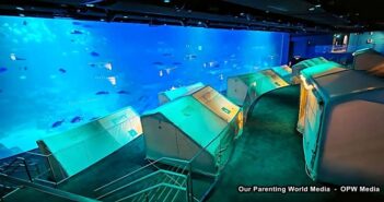 Singapore Oceanarium Relaunches “Ocean Dreams”, an Immersive Overnight Glamping Experience Beneath the Ocean